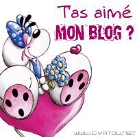 DIDDL LACHE TES COMM'S
