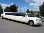 LIMOUSINE